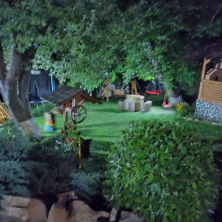Casa Dintre Pini Villa Păltinoasa Buitenkant foto