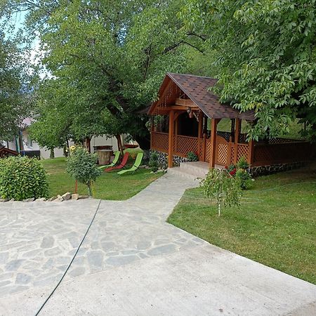 Casa Dintre Pini Villa Păltinoasa Buitenkant foto