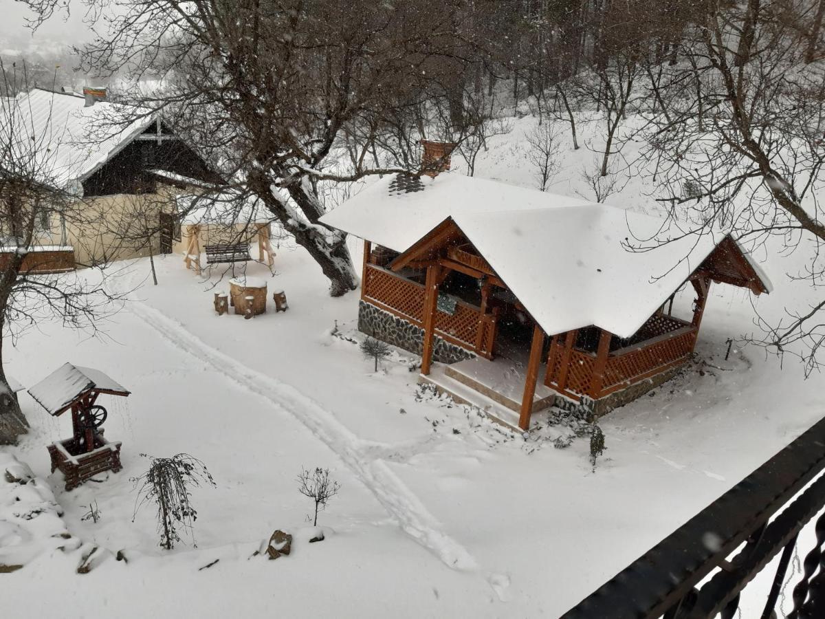 Casa Dintre Pini Villa Păltinoasa Buitenkant foto