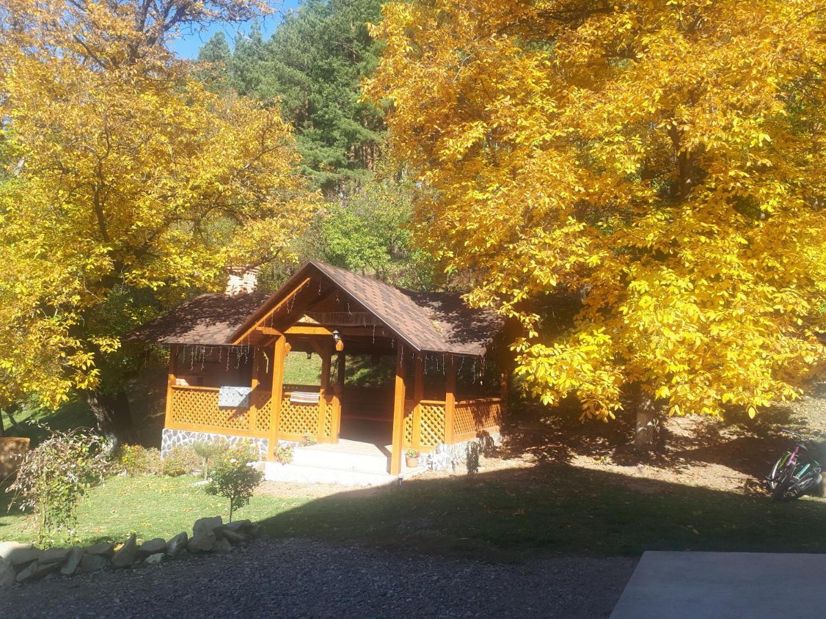 Casa Dintre Pini Villa Păltinoasa Buitenkant foto