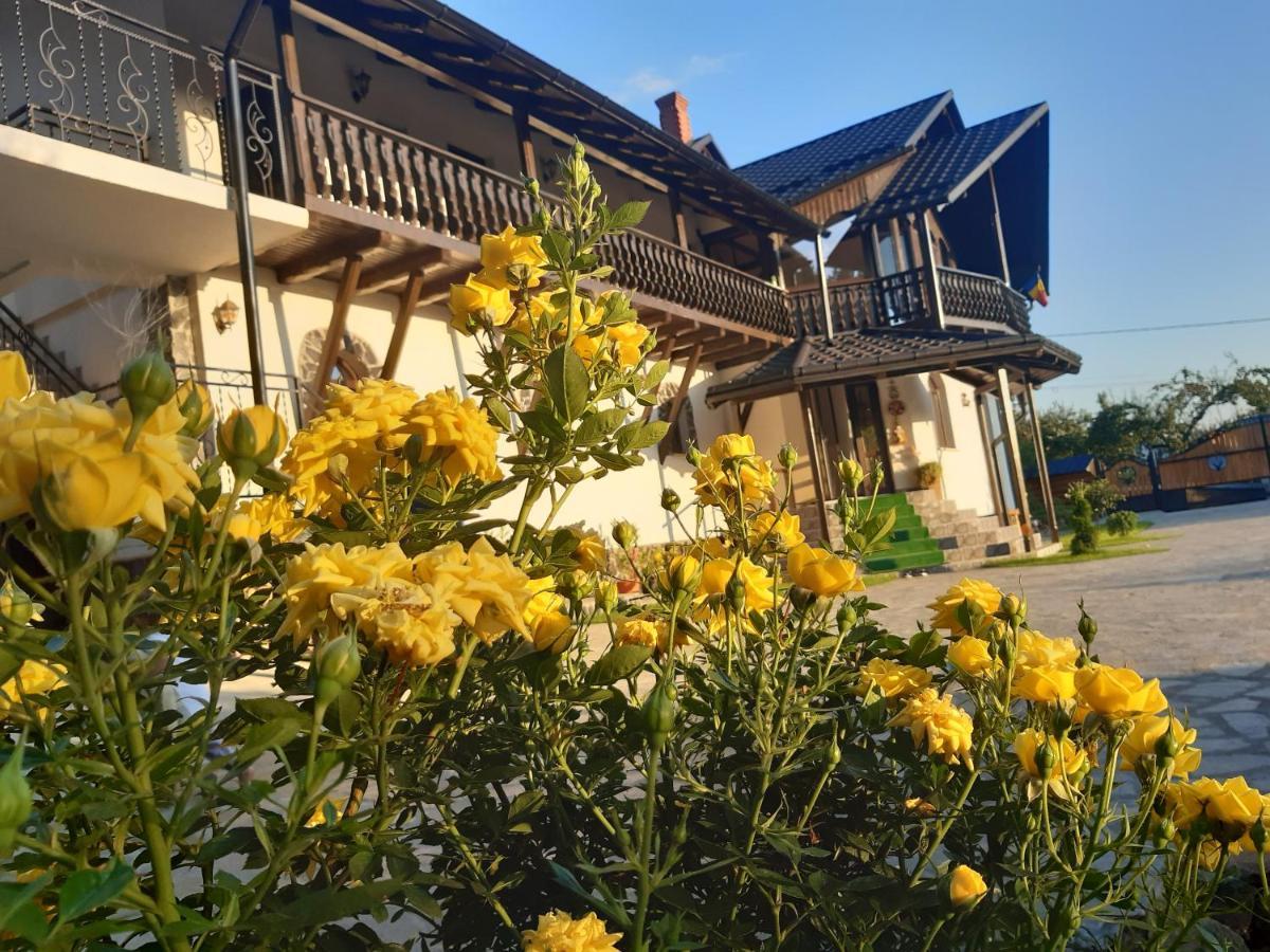 Casa Dintre Pini Villa Păltinoasa Buitenkant foto