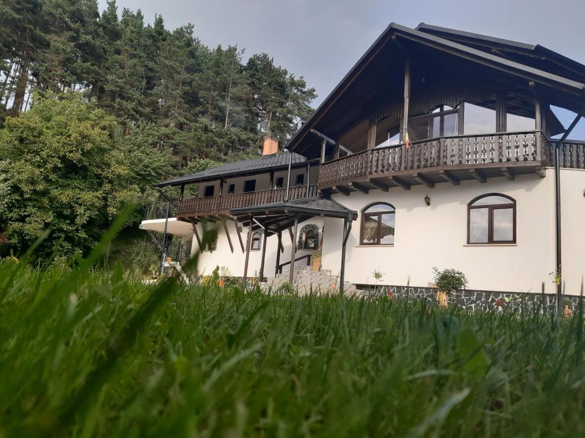 Casa Dintre Pini Villa Păltinoasa Buitenkant foto