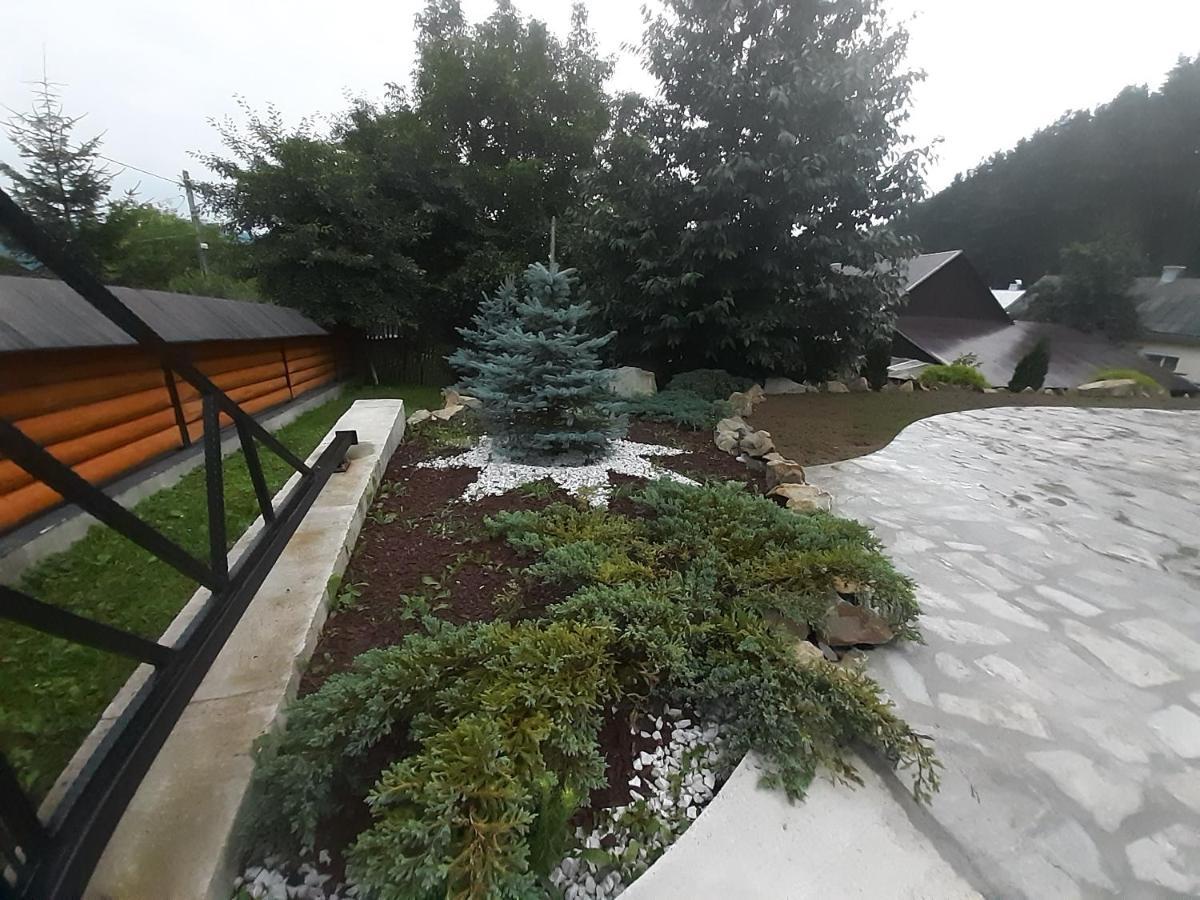 Casa Dintre Pini Villa Păltinoasa Buitenkant foto