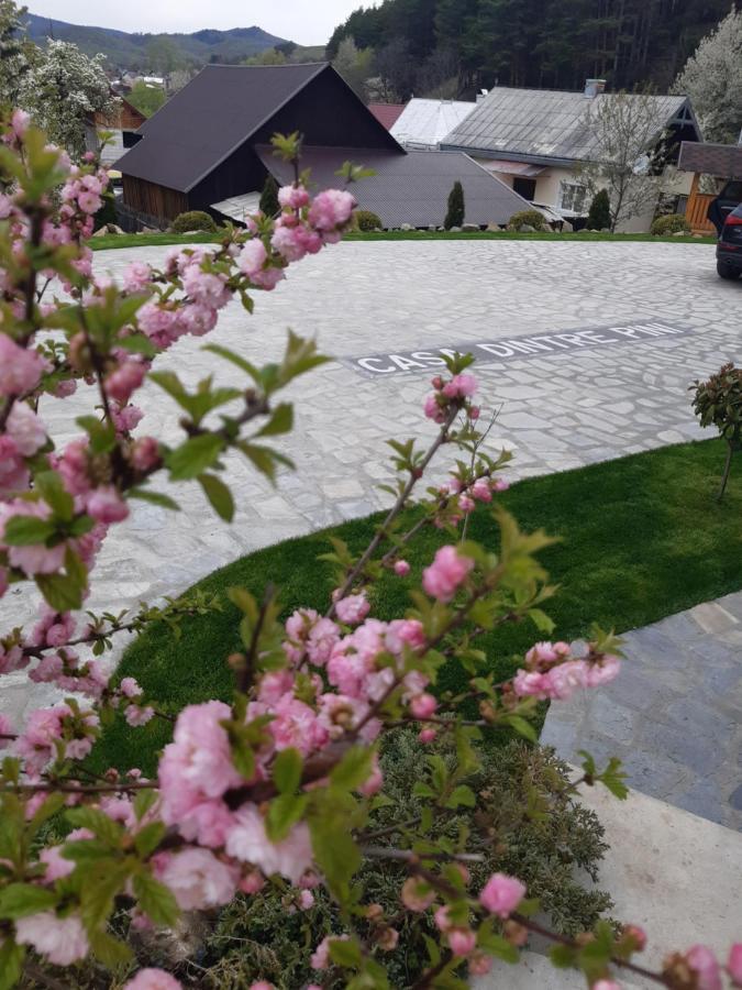 Casa Dintre Pini Villa Păltinoasa Buitenkant foto
