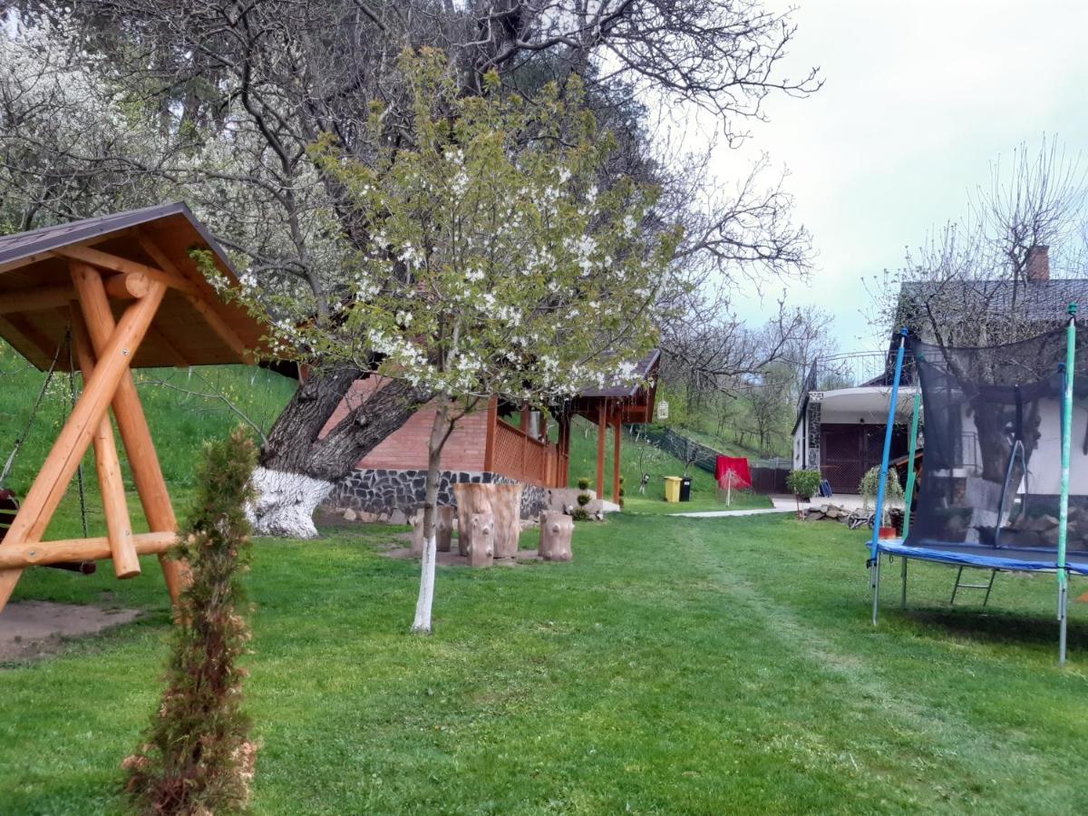 Casa Dintre Pini Villa Păltinoasa Buitenkant foto