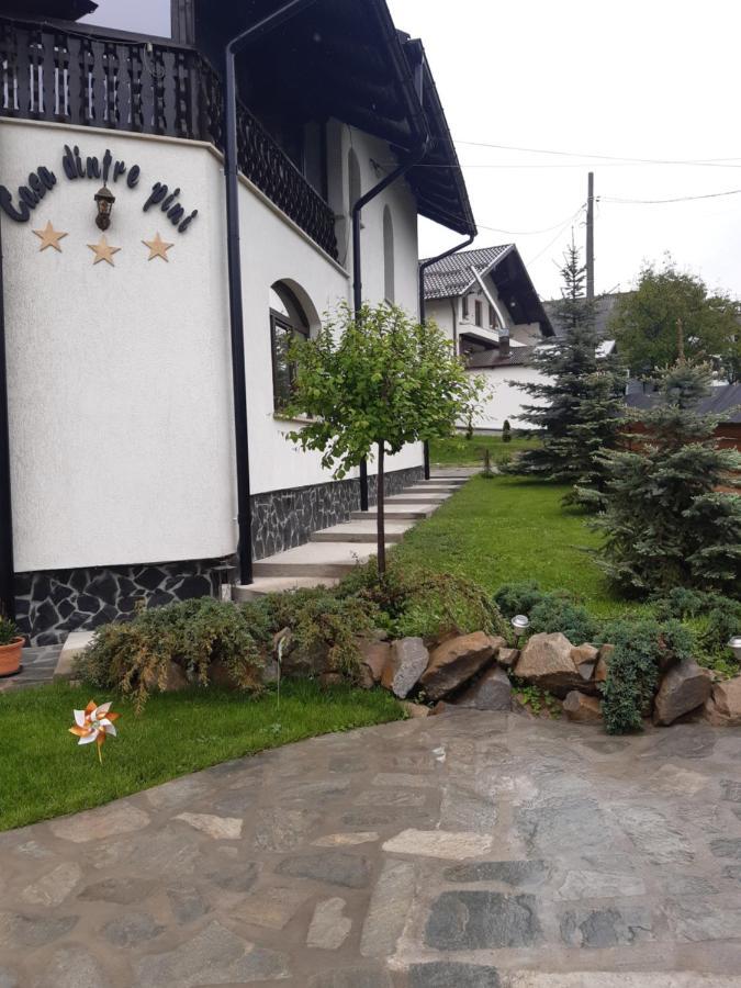 Casa Dintre Pini Villa Păltinoasa Buitenkant foto