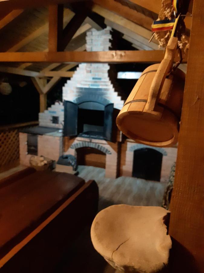 Casa Dintre Pini Villa Păltinoasa Buitenkant foto