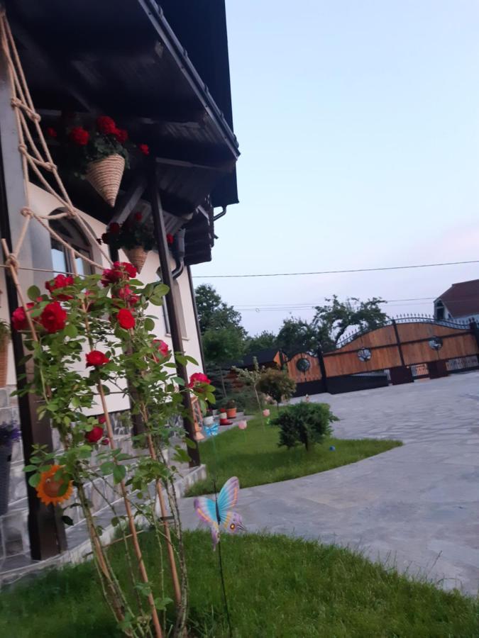 Casa Dintre Pini Villa Păltinoasa Buitenkant foto