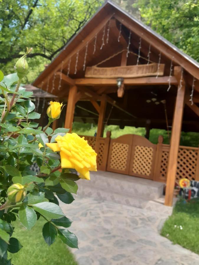 Casa Dintre Pini Villa Păltinoasa Buitenkant foto