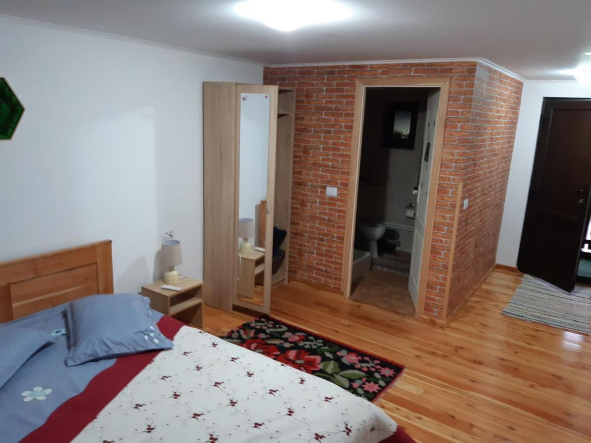 Casa Dintre Pini Villa Păltinoasa Buitenkant foto