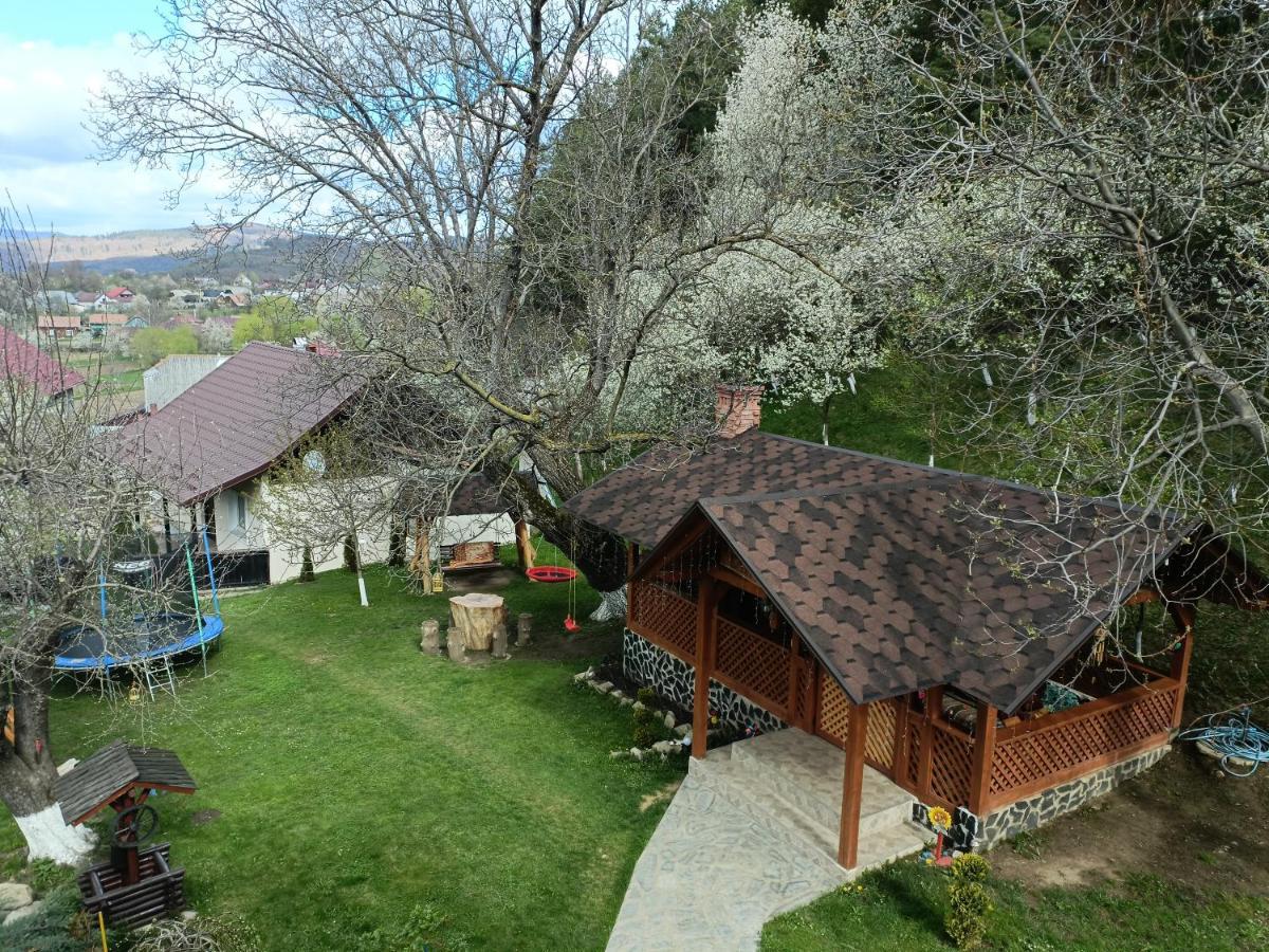 Casa Dintre Pini Villa Păltinoasa Buitenkant foto