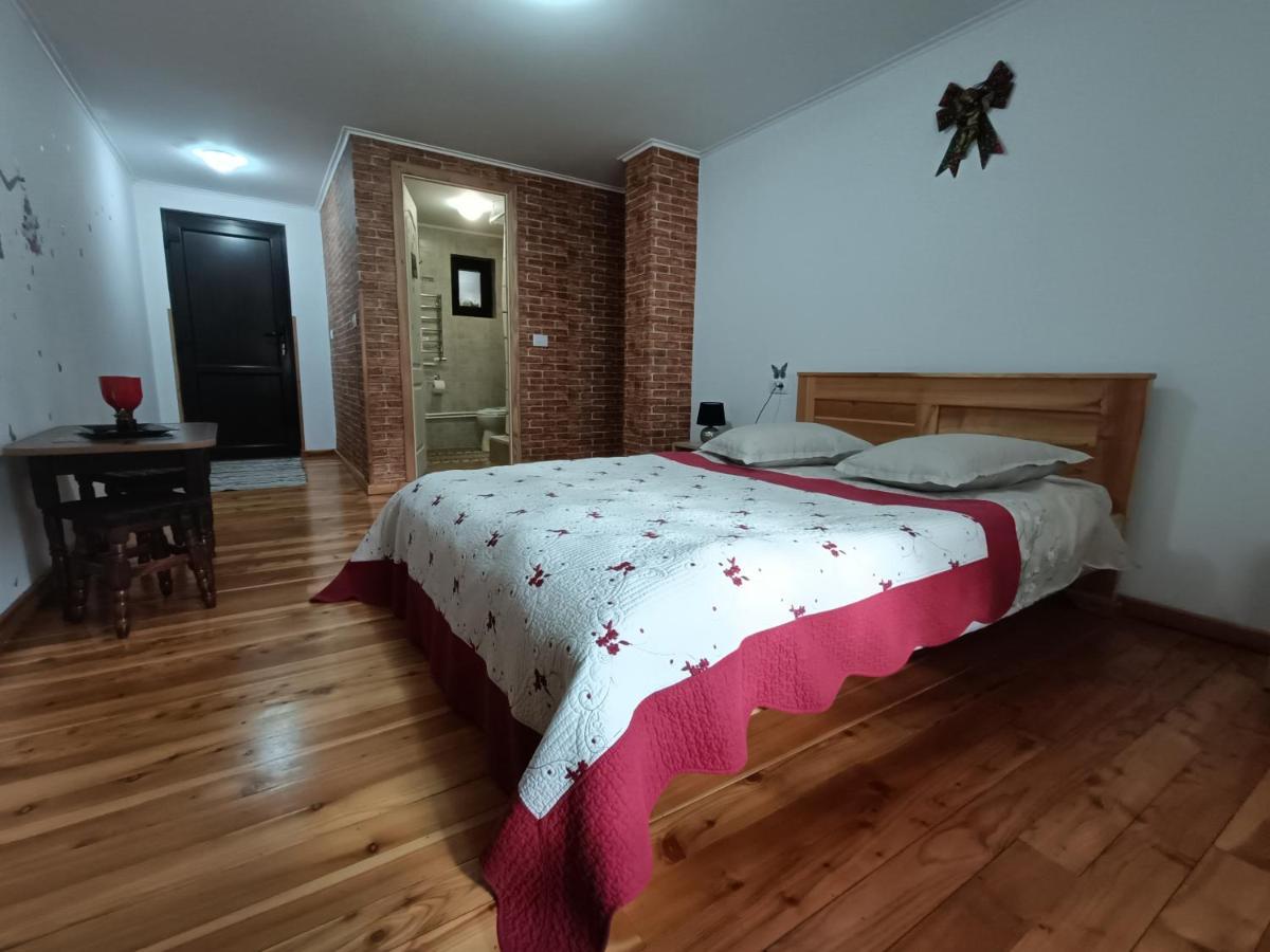 Casa Dintre Pini Villa Păltinoasa Buitenkant foto