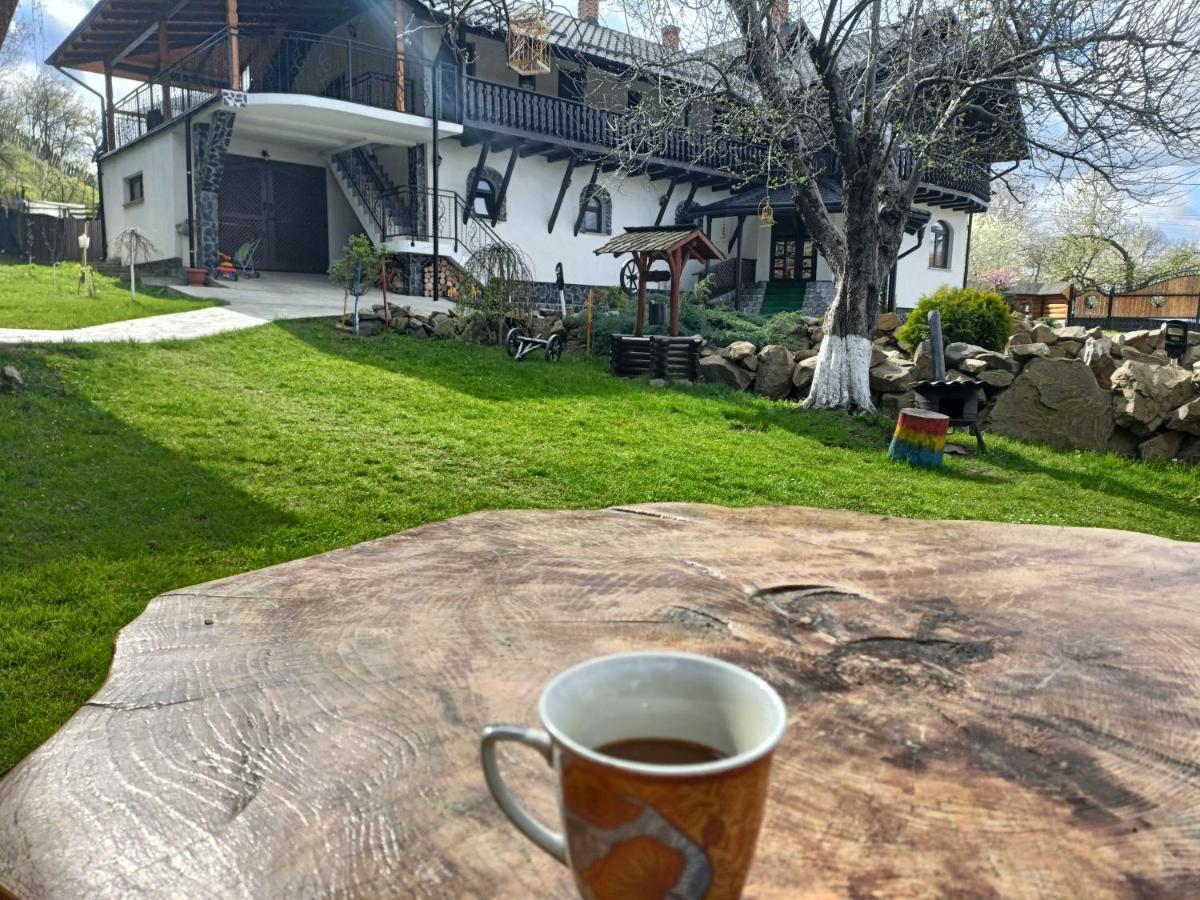 Casa Dintre Pini Villa Păltinoasa Buitenkant foto