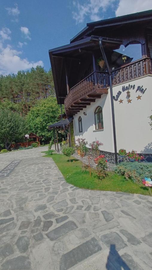 Casa Dintre Pini Villa Păltinoasa Buitenkant foto
