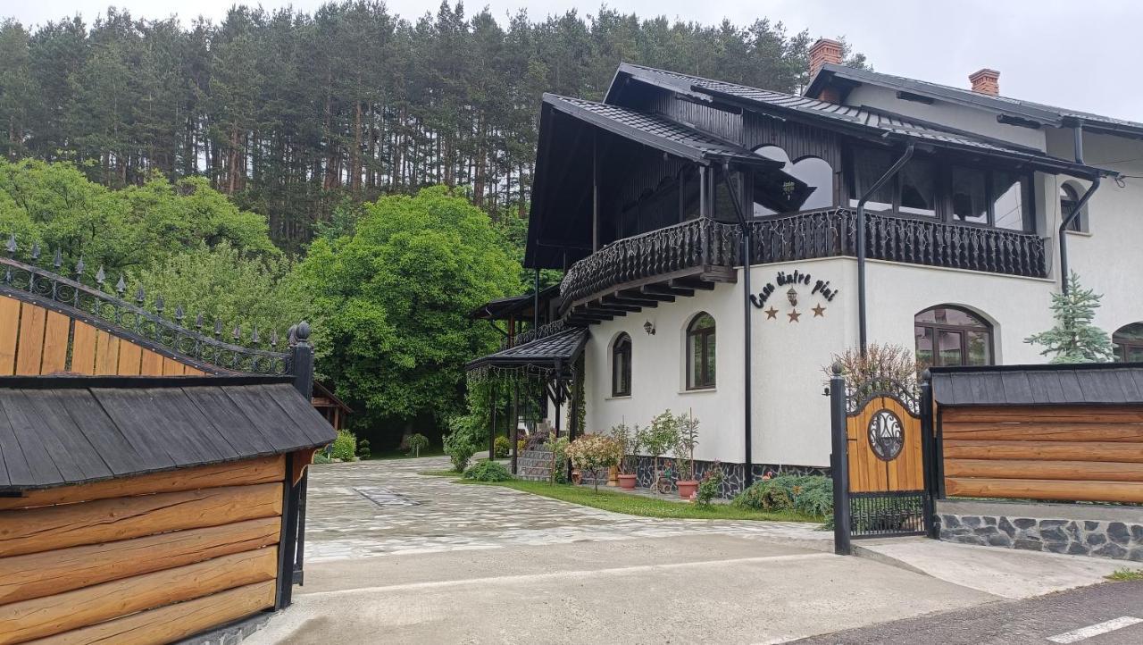 Casa Dintre Pini Villa Păltinoasa Buitenkant foto
