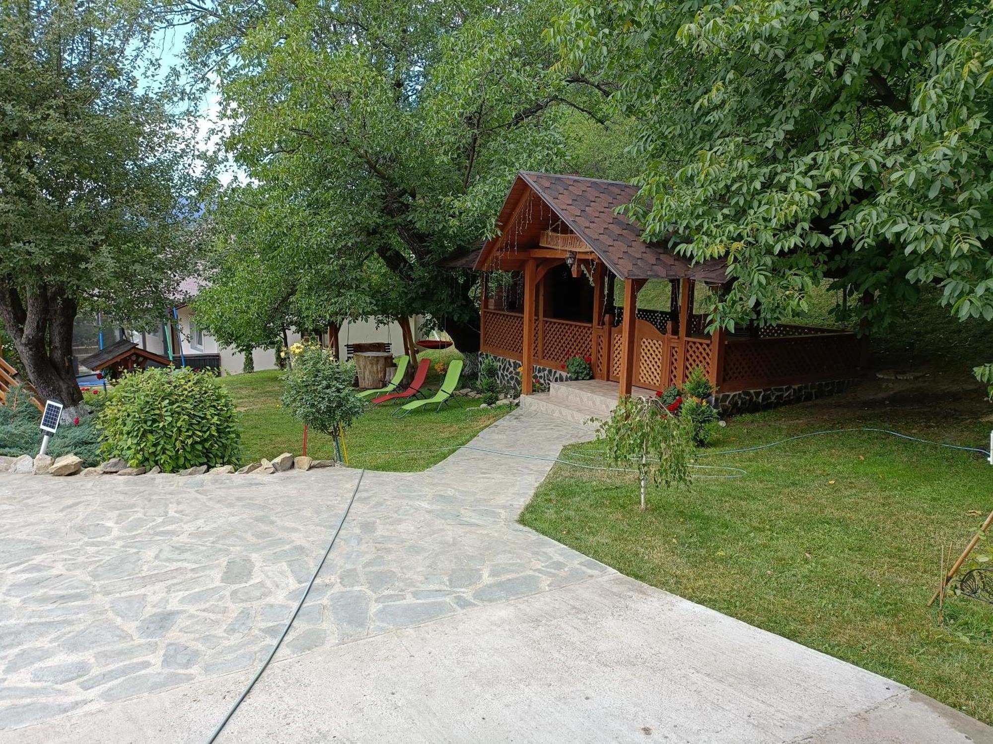 Casa Dintre Pini Villa Păltinoasa Buitenkant foto