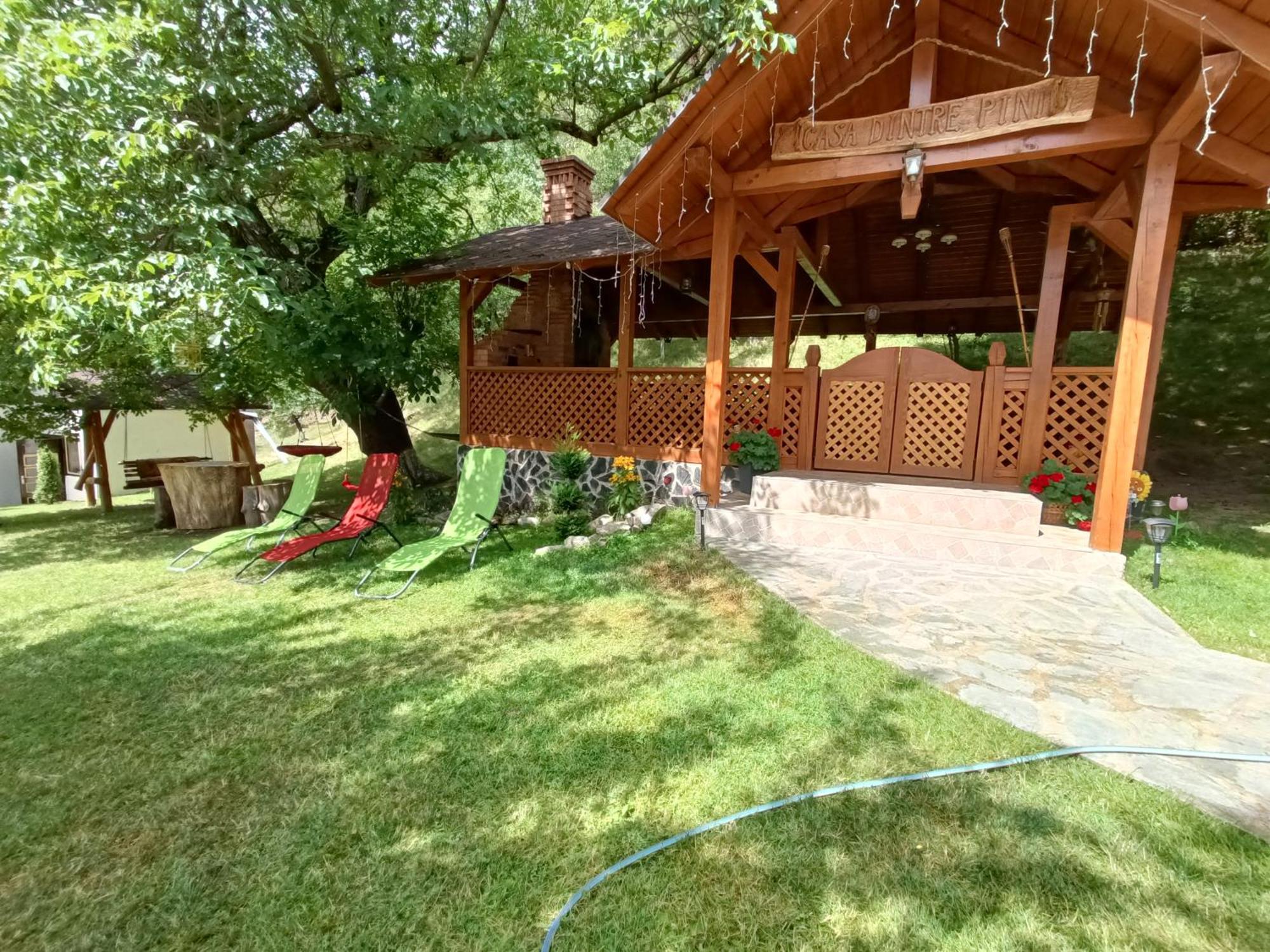 Casa Dintre Pini Villa Păltinoasa Buitenkant foto
